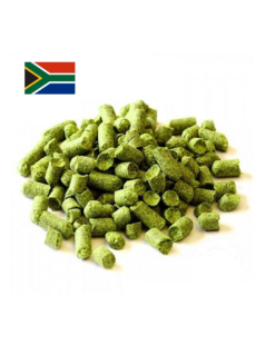 African Queen (AFS) 2021 – Houblon Sud-Africain en Pellets (11% Alpha)