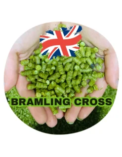 Bramling Cross (UK) Hop Pellets – Rare Fruity British Aroma Hop
