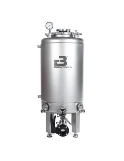 Brewtools Brite Tank B80 – Réservoir de Conditionnement 80L PureBlast™ en Acier Inoxydable