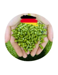 Hallertau Blanc (DE) German Hops – Fruity & Sauvignon Blanc Style Aroma Variety