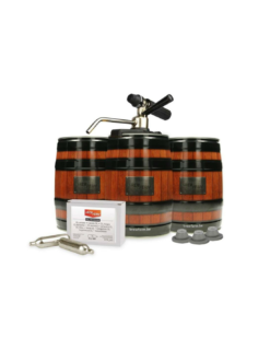 Kit de Démarrage Mini-fûts Brewferm® Party Star Deluxe – Système de Tirage Pression 5L Complet