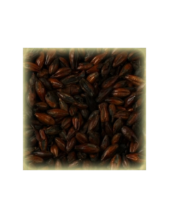 Château Black Of Black (650-950 EBC) – Low Color Roasted Specialty Malt