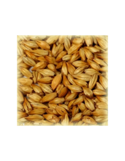 Malt Château Cara Clair 8 EBC – Corps et Tenue de Mousse pour Bières Blondes