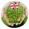 Pilgrim (UK) High-Alpha Dual-Purpose – Spicy Cedar & Honey Aromatic Pellet Hops