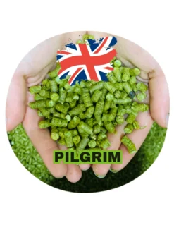 Pilgrim (UK) High-Alpha Dual-Purpose – Spicy Cedar & Honey Aromatic Pellet Hops